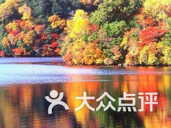 怎么减肥快啊 有知道的吗