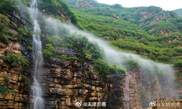 小猫钓鱼正版下载中文版