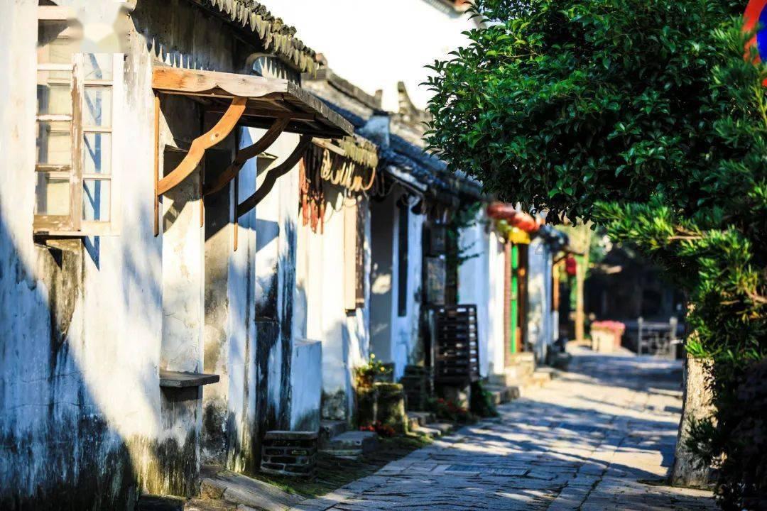 全民烧脑3去广告版